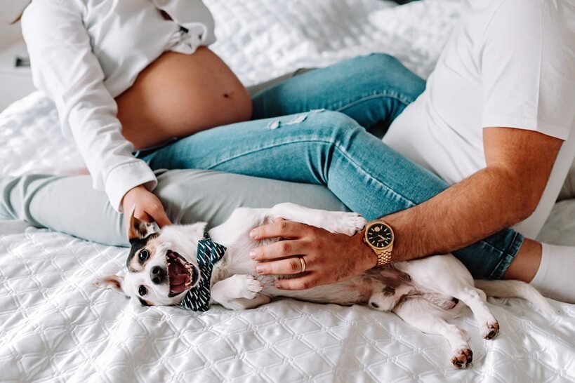 babybauchshooting-mit-hund-familie-zu-hause